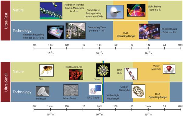 Fact Sheets